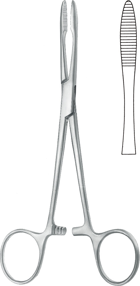 Dissecting Knife #3
